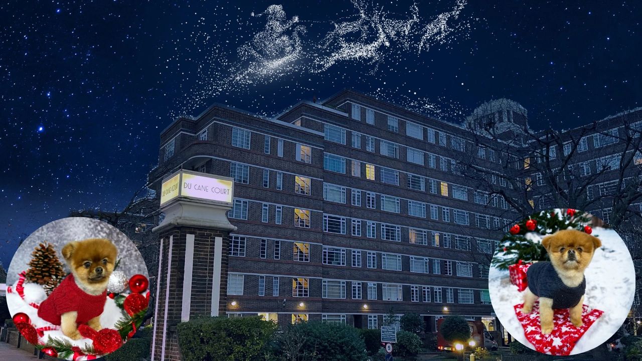 Porters Estate Agents Balham online